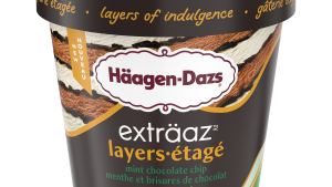 Häagen-Dazs icecream choc choc chip, 500 ml